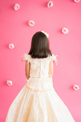 Box pleated lehenga set